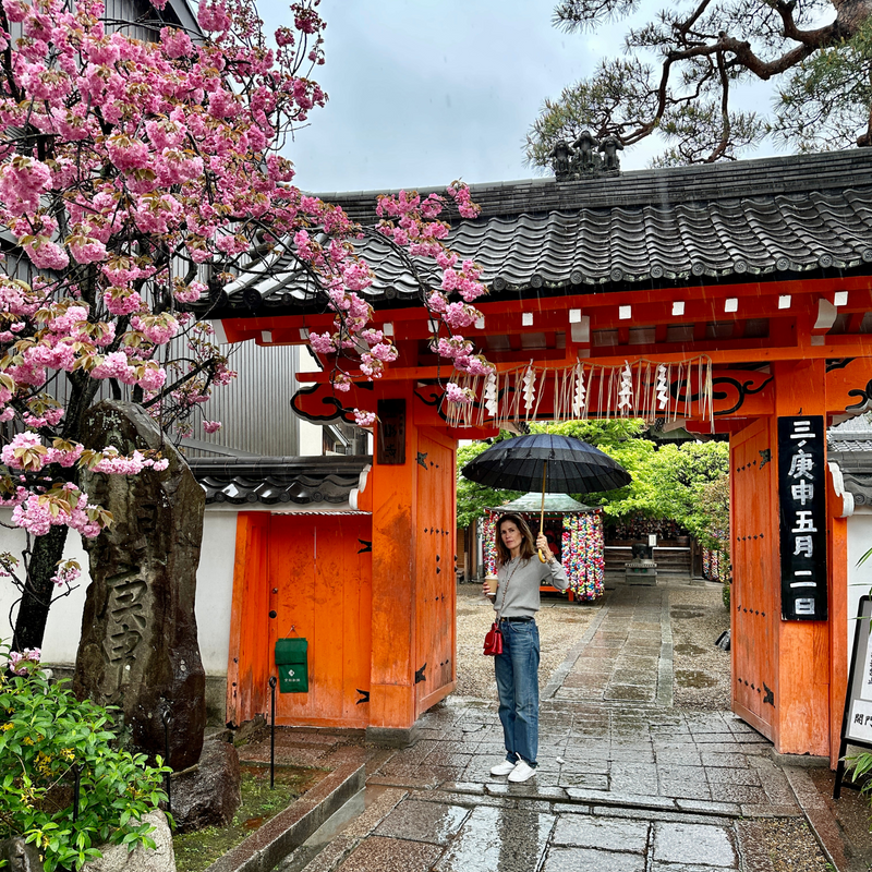 Japan Diary! Where to Stay, Dine, and Shop