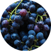 Vitis Vita Grape Extract
